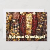 カラフルインディアンコーンのカーネルフォトポストカード 招待状 (正面)