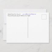 カラフルインディアンコーンのカーネルフォトポストカード 招待状 (裏面)