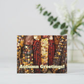 カラフルインディアンコーンのカーネルフォト ポストカード (スタンド正面)