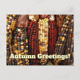 カラフルインディアンコーンのカーネルフォト ポストカード