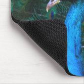 カラフルインディアン孔雀の尾の羽が開いたプロファイル マウスパッド (コーナー)