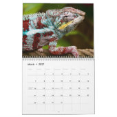 カラフルカメレオン2025 カレンダー (3月 2027)