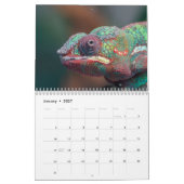 カラフルカメレオン2025 カレンダー (1月 2027)