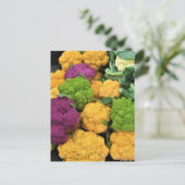 カラフルカリフラワー秋の装飾 ポストカード (スタンド正面)