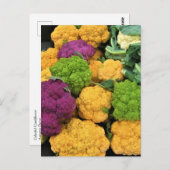 カラフルカリフラワー秋の装飾 ポストカード (正面/裏面)