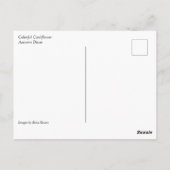 カラフルカリフラワー秋の装飾 ポストカード (裏面)