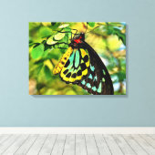 カラフルカンバスの蝶 キャンバスプリント (インサイチュ (ウッドフロア))
