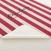 カラフルキャンディ鮮やかなスタイリッシュ色のストライプ シェルパブランケット (3/4)