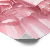 カラフルキンセアニェラ ポスター (角)