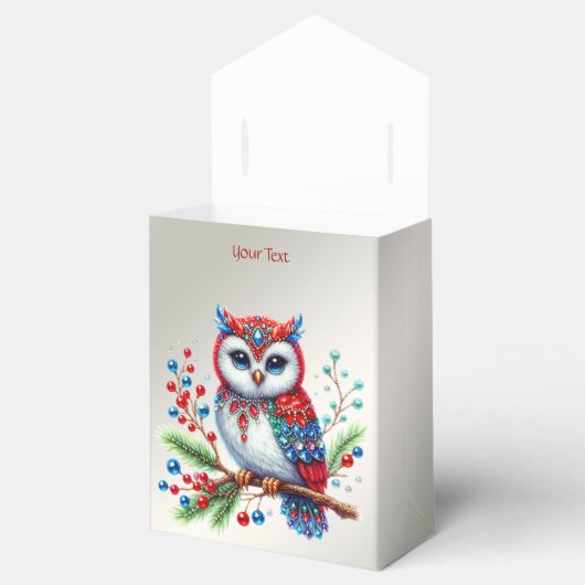 カラフルクリスマスフクロウホリデーギフトボックス フェイバーボックス (オープン)