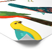 カラフルクール熱帯水色の鳥類パターン ポスター (角)