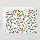 カラフルクール熱帯水色の鳥類パターン ポストカード (正面/裏面)
