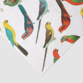 カラフルクール熱帯水色の鳥類パターン 薄葉紙 (詳細)