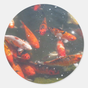 カラフルコイ魚 ラウンドシール