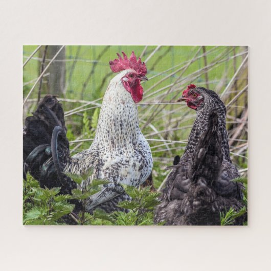 カラフルコッケレ ジグソーパズル (横)