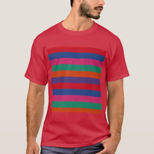 カラフルストライプパターン Tシャツ (正面)