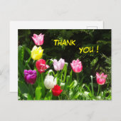 カラフルチューリップありがとうはがき ポストカード (正面/裏面)