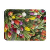 カラフルチューリップの束 マグネット (横)