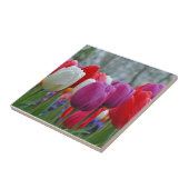 カラフルチューリップ美しい タイル (側面)