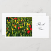 カラフルチューリップ – ありがとう サンキューカード (正面/裏面)