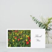 カラフルチューリップ – ありがとう サンキューカード (スタンド正面)
