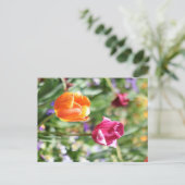 カラフルチューリップ 植物園の絵葉書 ポストカード (スタンド正面)