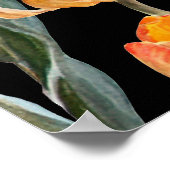 カラフルチューリップ、黒い背景を分離。 ポスター (角)