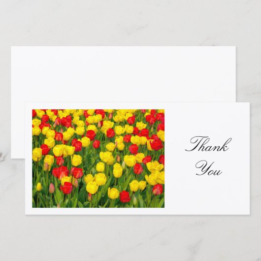 カラフルチューリップII – ありがとう サンキューカード (正面/裏面)
