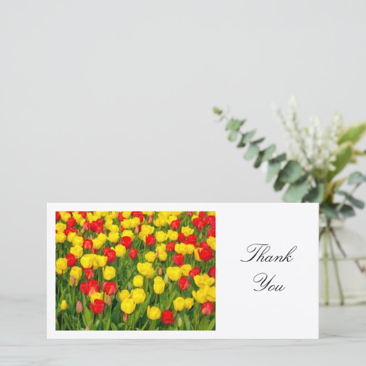 カラフルチューリップII – ありがとう サンキューカード (スタンド正面)