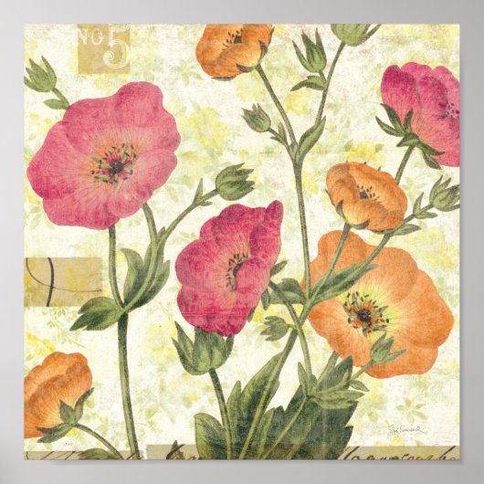 カラフルデイジー ポスター (正面)