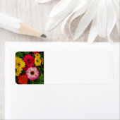 カラフルデイジー ラベル (インサイチュ)