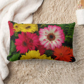 カラフルデイジー ランバークッション (ブランケット)