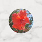 カラフルハイビスカスの花 コンフェッティ (スモール正面)