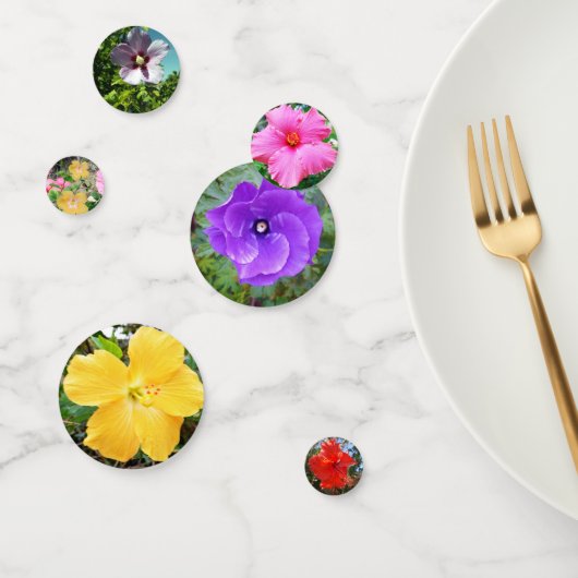 カラフルハイビスカスの花 コンフェッティ (グループ)