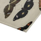 カラフルバタフライメドレオンクリーム背景 カッティングボード (角)