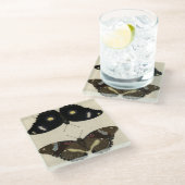 カラフルバタフライメドレオンクリーム背景 ガラスコースター (アングル)