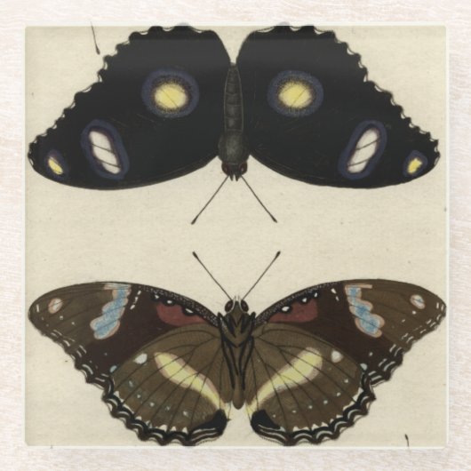 カラフルバタフライメドレオンクリーム背景 ガラスコースター (正面)