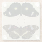 カラフルバタフライメドレオンクリーム背景 ガラスコースター (裏面)