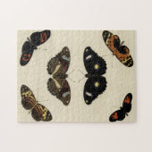 カラフルバタフライメドレオンクリーム背景 ジグソーパズル (横)