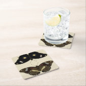 カラフルバタフライメドレオンクリーム背景 スクエアペーパーコースター (インサイチュ)