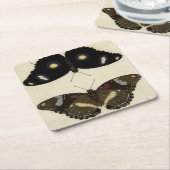 カラフルバタフライメドレオンクリーム背景 スクエアペーパーコースター (アングル)