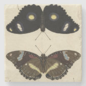 カラフルバタフライメドレオンクリーム背景 ストーンコースター (正面)