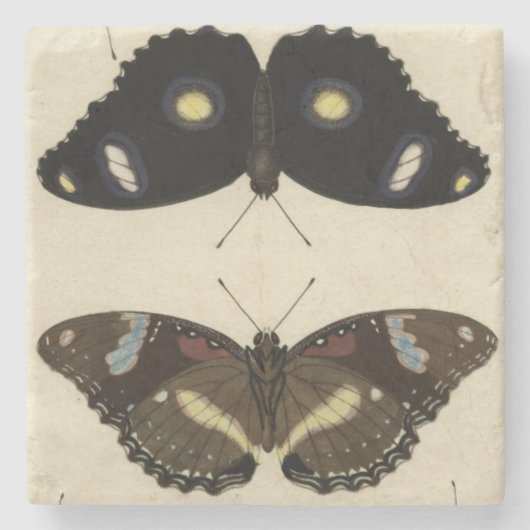 カラフルバタフライメドレオンクリーム背景 ストーンコースター (正面)