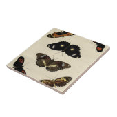 カラフルバタフライメドレオンクリーム背景 タイル (側面)