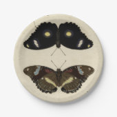 カラフルバタフライメドレオンクリーム背景 ペーパープレート (正面)