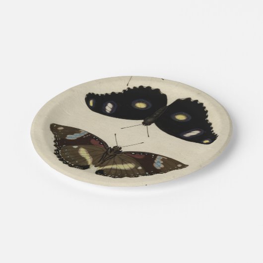 カラフルバタフライメドレオンクリーム背景 ペーパープレート (アングル)