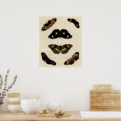 カラフルバタフライメドレオンクリーム背景 ポスター (キッチン)