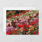 カラフルバラガーデンプリントはがき ポストカード (正面/裏面)