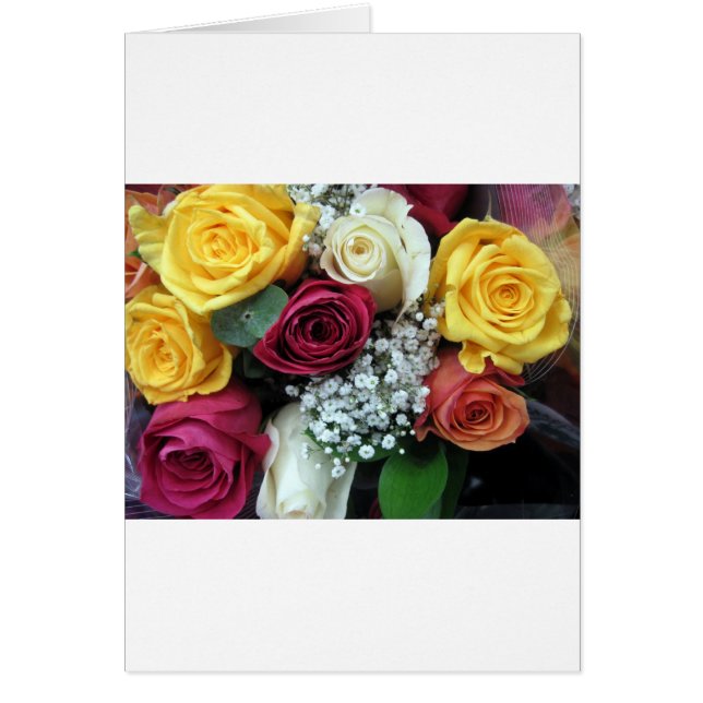 カラフルバラ (正面)