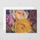 カラフルバラ ポストカード (正面/裏面)